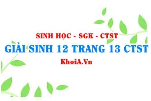 Giải Sinh 12 trang 13 Chân trời Sáng tạo